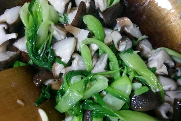 香菇青菜的做法图解4