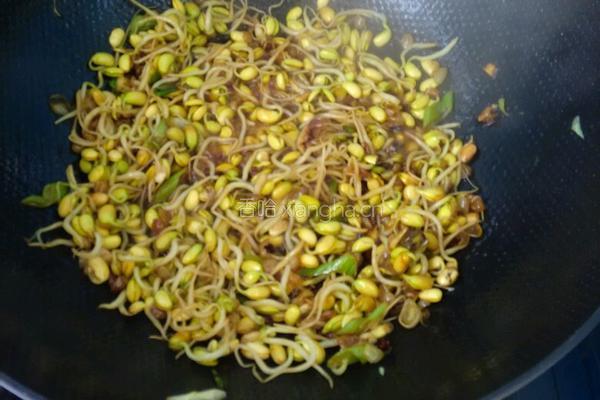 炒豆芽的做法图解7