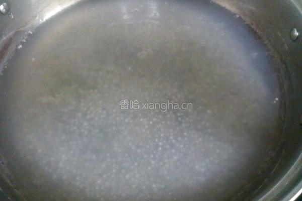木瓜西米牛奶羹的做法图解4