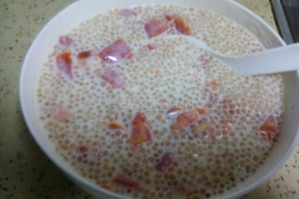 木瓜西米牛奶羹的做法图解7