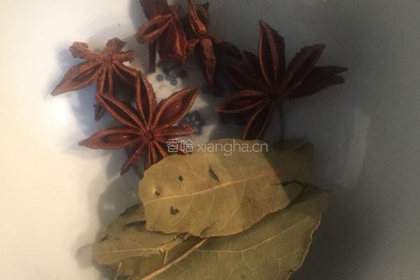 红烧排骨炖冬瓜的做法图解3