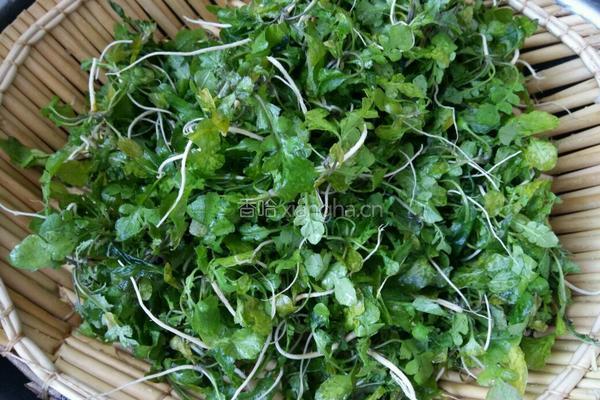 荠菜肉饺子馅的做法图解4