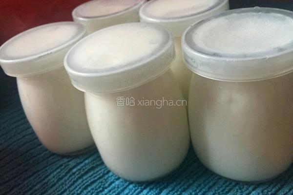 双皮奶的做法图解10