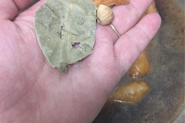 酱鸡爪干豆腐的做法图解5