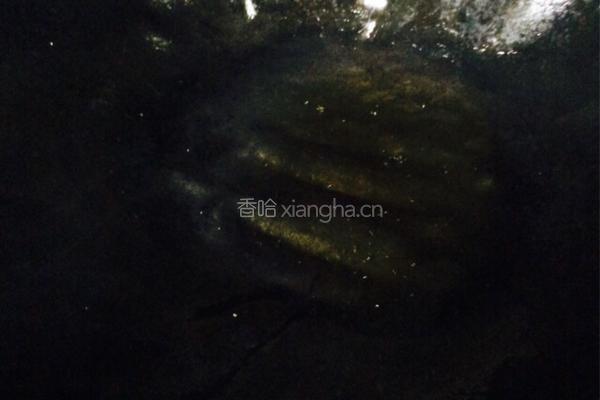 鱼头汤的做法图解2