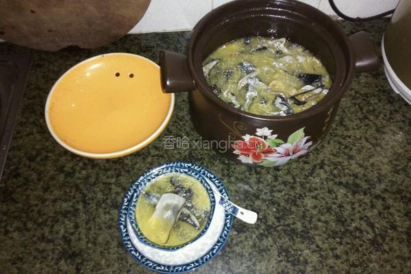 海底椰花胶煲乌鸡