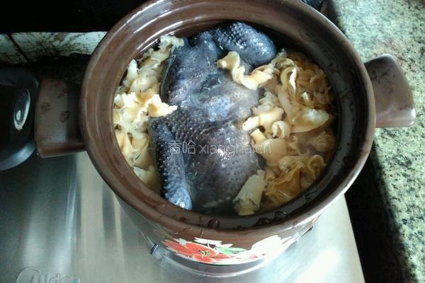 海底椰花胶煲乌鸡的做法图解7