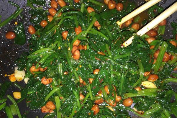 随心(果仁菠菜)的做法图解5