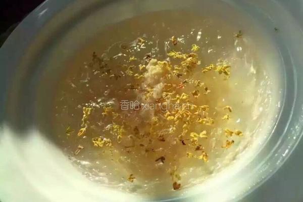 冰糖桂花燕窝的做法图解3