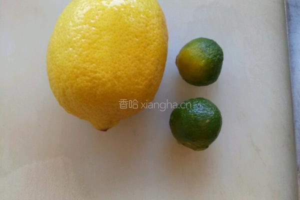 金桔柠檬苏打的做法图解1