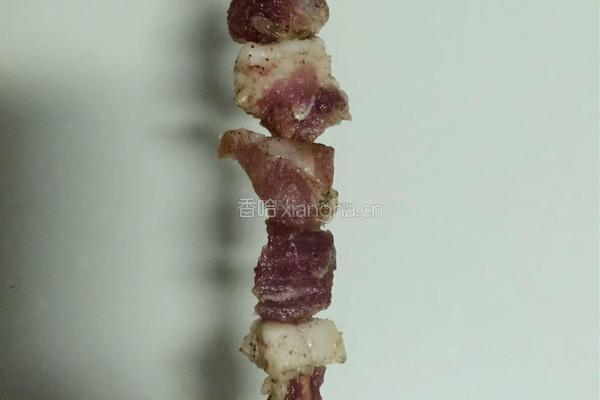 烤猪肉串的做法图解10