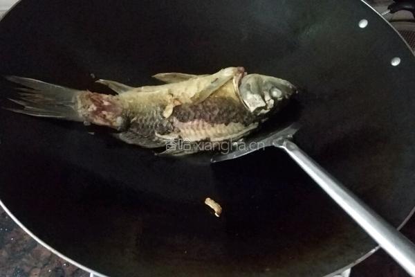 鲫鱼豆腐下奶汤的做法图解4