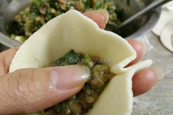 香菜香菇猪肉馅饺子的做法图解16
