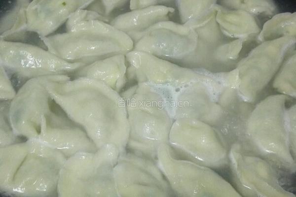 韭菜虾仁鸡蛋饺子的做法图解7
