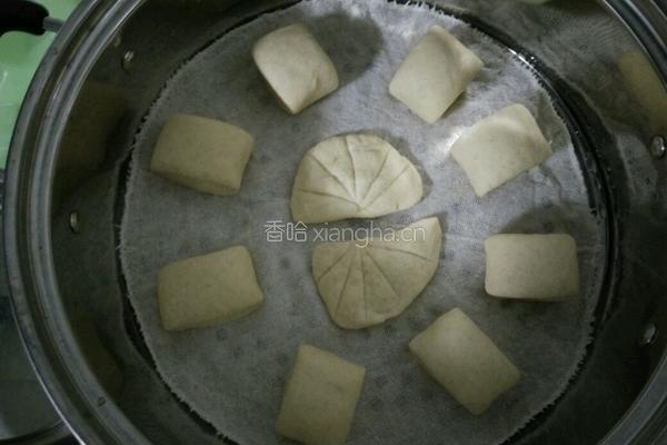 玉米全麦奶香馒头的做法图解8