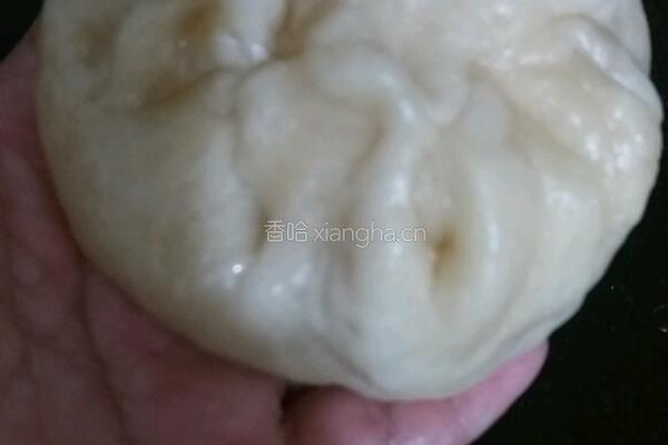 羊肉包子的做法图解13