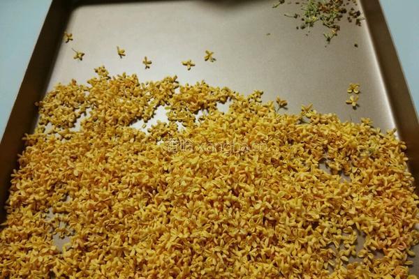 自制桂花蜜的做法图解1
