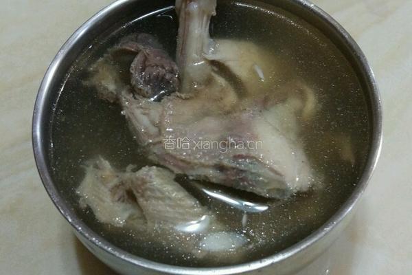 清炖鸽子汤