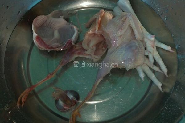 清炖鸽子汤的做法图解1