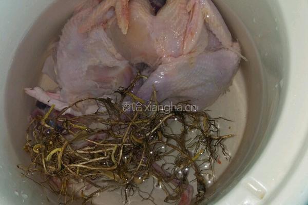 清炖鸽子汤的做法图解2