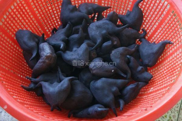 盐水菱角的做法图解4