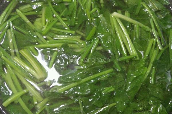 菠菜包的做法图解2