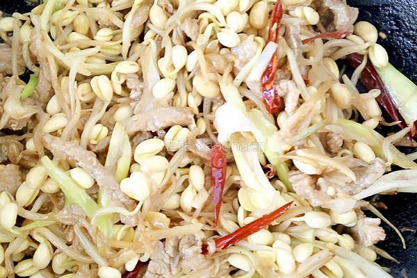 豆芽炒肉的做法图解13