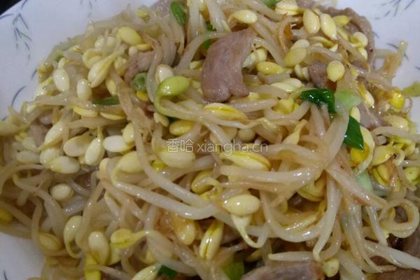 豆芽炒肉的做法图解5
