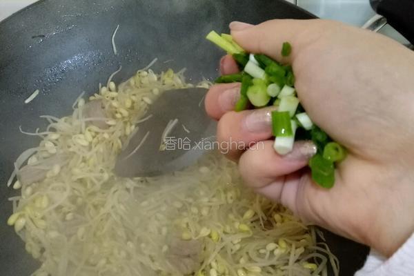 豆芽炒肉的做法图解4