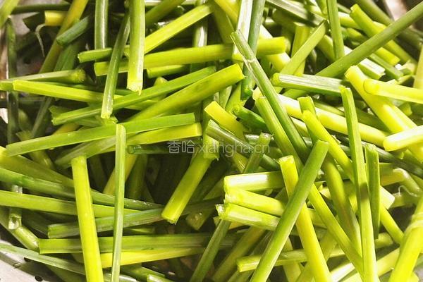香干肉丝炒韭菜花的做法图解4