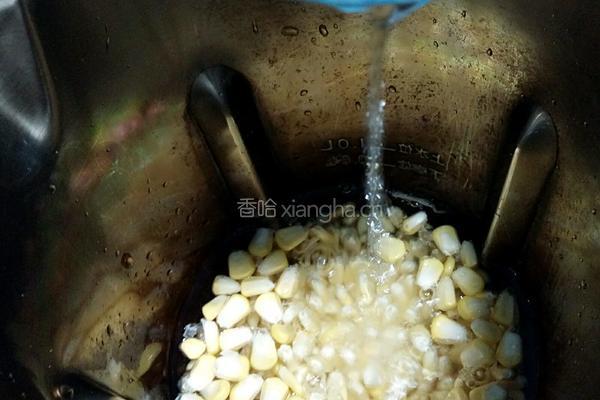 玉米豆浆的做法图解4
