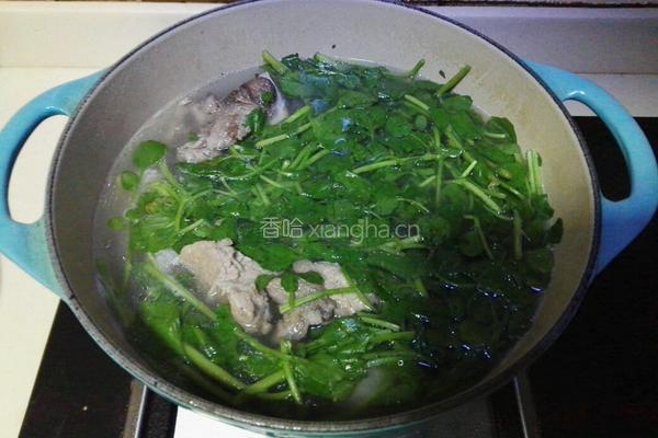 九肚鱼西洋菜汤的做法图解6