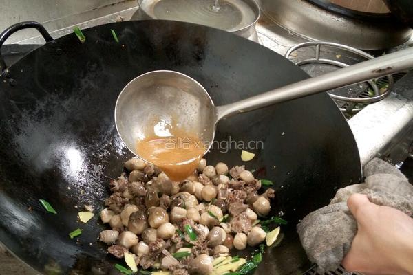 鲜菇炒肾球的做法图解3