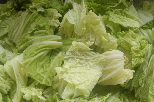 冻豆腐炖白菜粉的做法图解2
