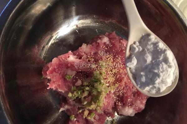 自制肉丸的做法图解5
