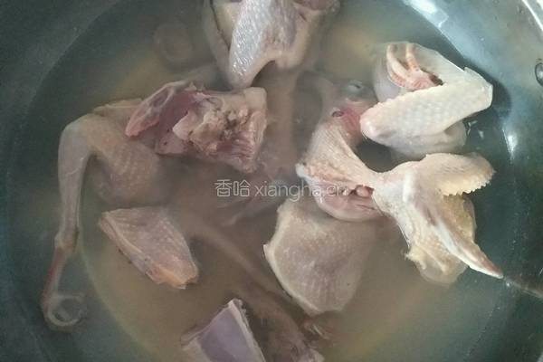炖鸽子汤的做法图解3
