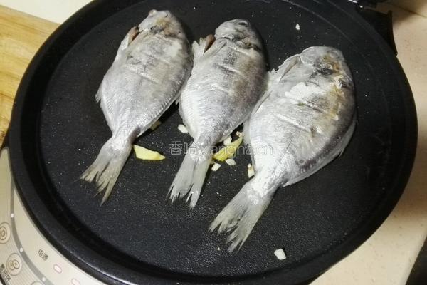 香煎软稿鱼的做法图解4