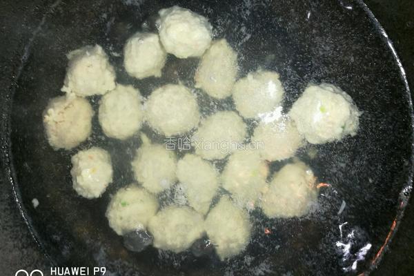 萝卜丝肉丸汤的做法图解5