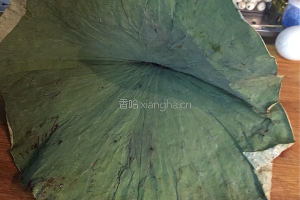 荷叶包饭的做法图解8