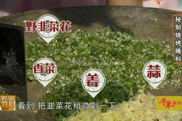 CCTV7食尚大转盘 双味巴盟羊的做法图解2