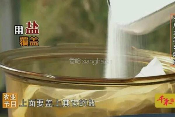 CCTV7食尚大转盘 双味巴盟羊的做法图解5