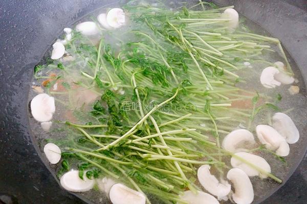 上汤豆苗的做法图解9