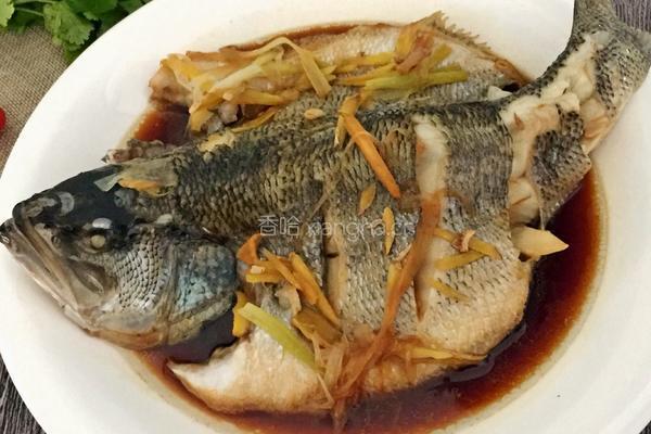 清蒸鲈鱼的做法图解9
