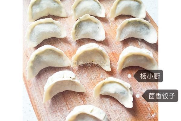 茴香饺子的做法图解6