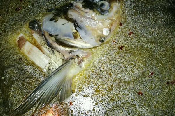 鱼头炖豆腐的做法图解3