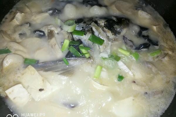 鱼头炖豆腐的做法图解11