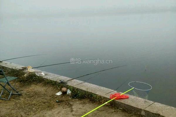 清蒸海蟹的做法图解1