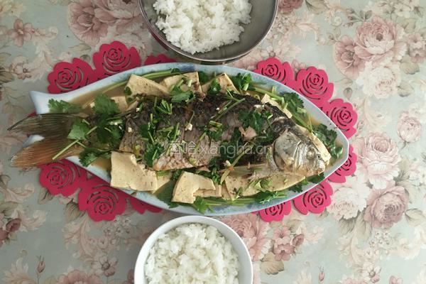 鲤鱼炖豆腐的做法图解7