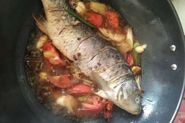 鲤鱼炖豆腐的做法图解4