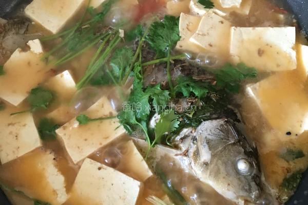 鲤鱼炖豆腐的做法图解6